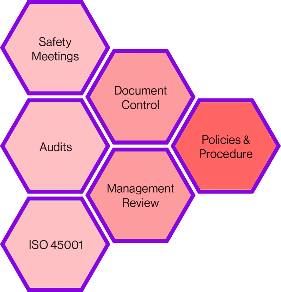 Torrent QHSE - Safety Policies and Procedures